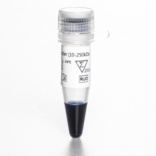 预染标准蛋白Marker（10-250kDa）