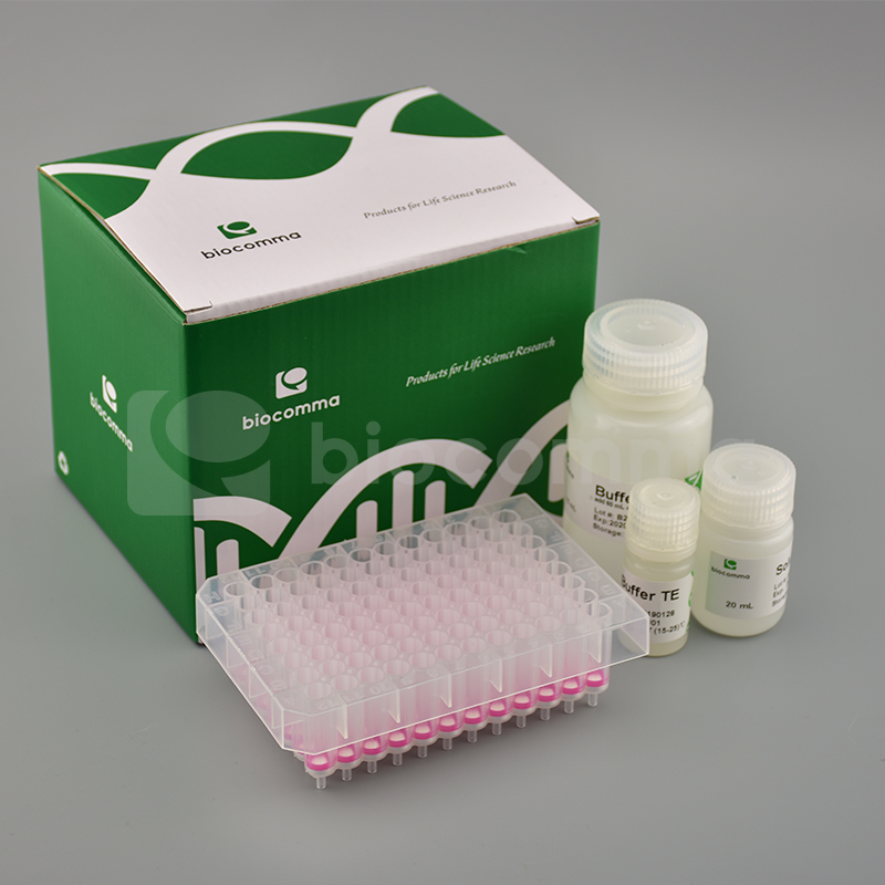 CommaXP® 唾液基因组DNA提取试剂盒(Tip法）
