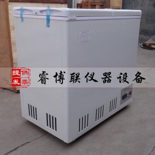 睿博联DX40-160L低温试验箱