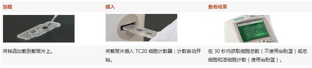 美国Bio-Rad伯乐TC20全自动细胞计数仪