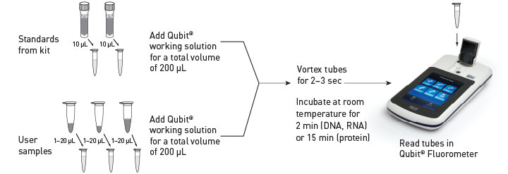 美国Life Invitrogen Qubit®4.0荧光定量仪Q33216，Q33217