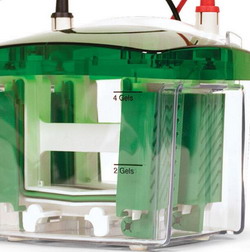 Bio-rad美国伯乐Mini-PROTEAN Tetra Cell小型垂直电泳槽，1-2块，厚0.75mm凝胶1658002
