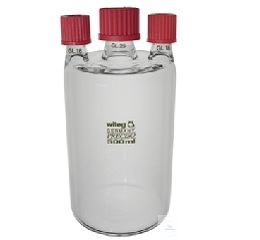 WOULFF BOTTLES WITH TWO  ST-SIDE NECKS GL 18, CENTER  