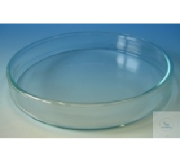 80mm玻璃培养皿，高15mm