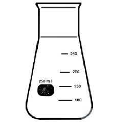 100mL WITEG广口锥形瓶