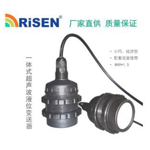 重庆力声物位变送器/液位变送器RISEN-ES-M49