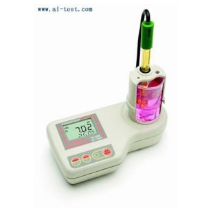  pH-温度°C 测定仪