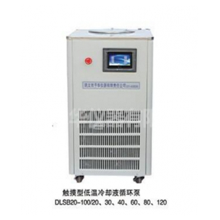 DLSB低温冷却液循环泵 厂家定做大容量低温泵