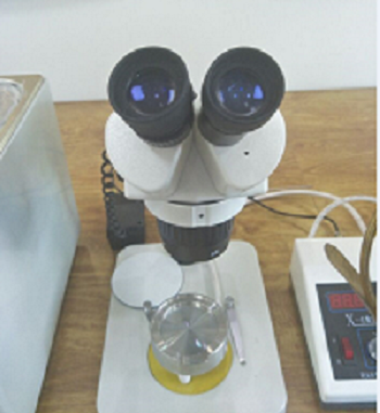 予华仪器显微熔点测定仪X-4/X-5，80倍双目体视显微镜