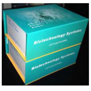 小鼠白介素-1b(mouse IL-1b)试剂盒48T