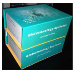 小鼠神经营养素3(mouse NT-3)试剂盒48T