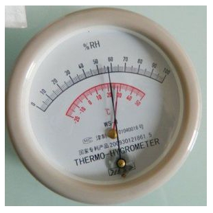 WS-1型温湿度表---天津凤洋