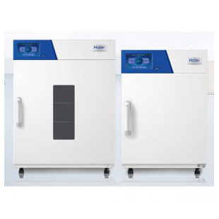 海尔生物-HFS-160 智研电热恒温干燥箱