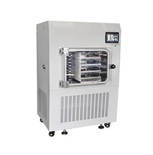 Scientz-100F普通型原位方仓冷冻干燥机