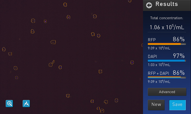 screenshot showing two-color fluorescent cell counting on the Countess II FL