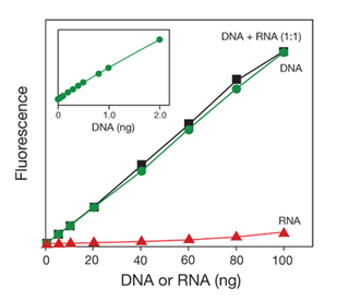 Graph showing increase in fluorescence with increase in DNA concentration