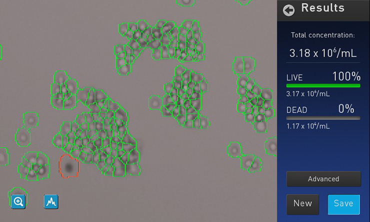 screenshot of Countess II FL counting clumpy cells