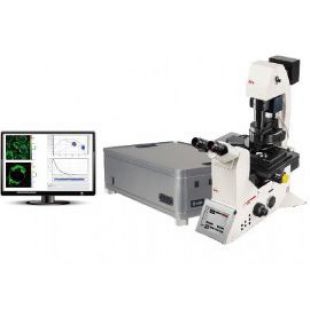 PL1光致发光时间分辨共焦显微镜