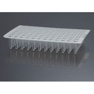 广州洁特  96孔PCR板