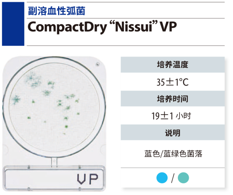 CompactDry 微生物快速测试片-2