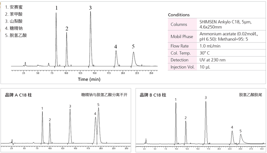 SSHIMSEN Ankylo C18系列-3.jpg