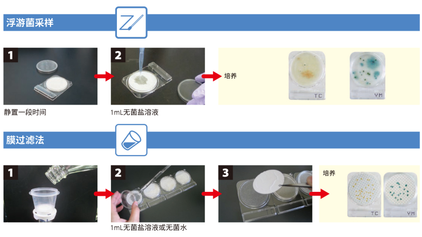 CompactDry 微生物快速测试片-2