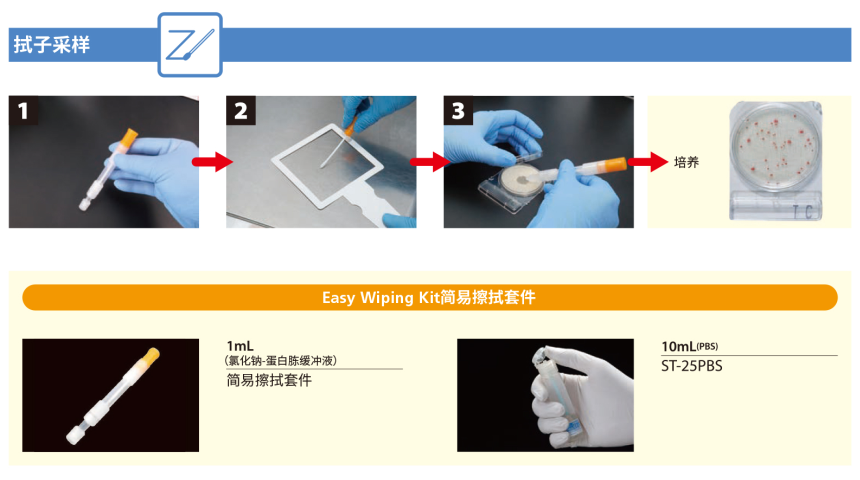 CompactDry 微生物快速测试片-1