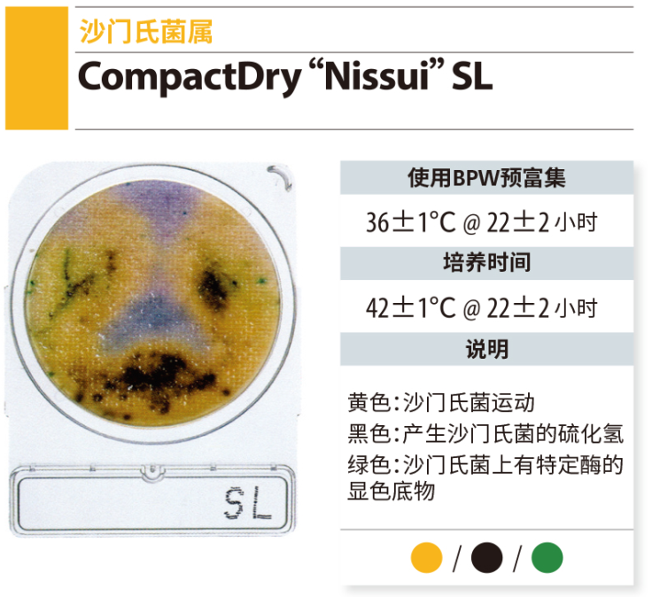 CompactDry 微生物快速测试片-2