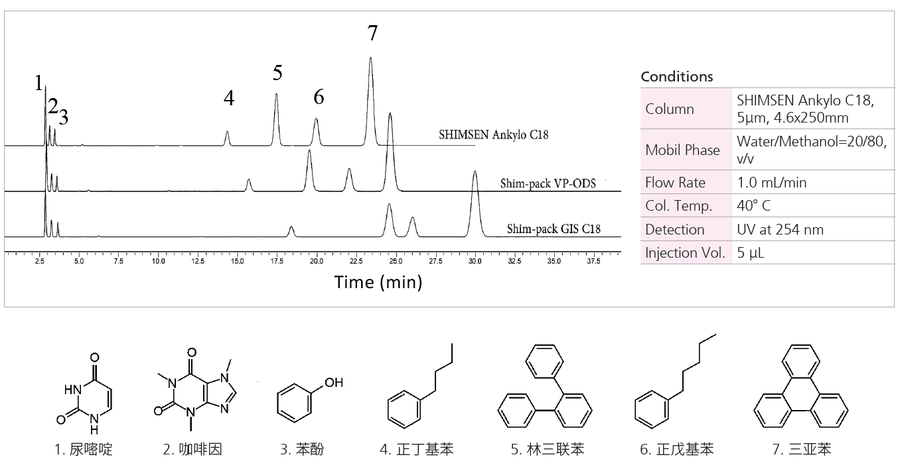 SHIMSEN Ankylo C18系列-2.jpg