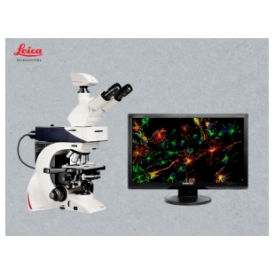 徕卡 DM2500 科研级生物显微镜
