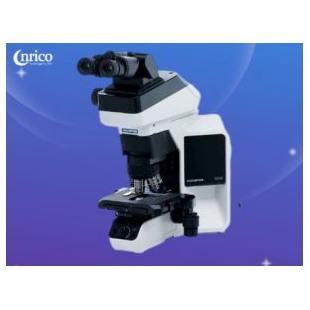 奥林巴斯 BX43 正置科研显微镜