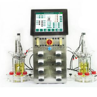T&J-Btybe杰出多功能台式规模发酵罐及生物反应器