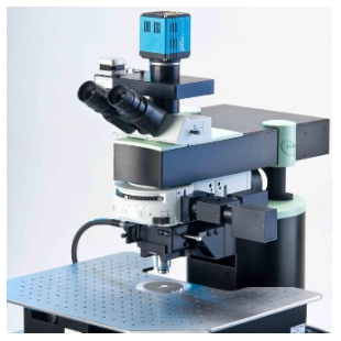 德国LaVision BioTec---双光子显微镜TriM Scope 