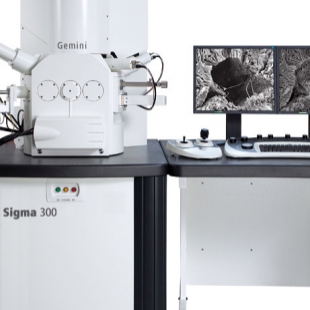德國Zeiss 場發射電子顯微鏡SIGMA 300