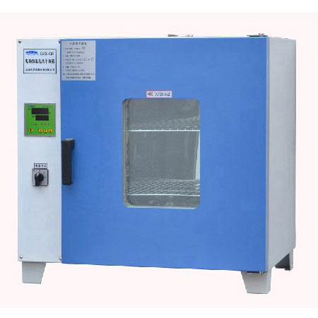 GZX-DH.300-BS-Ⅱ电热恒温干燥箱