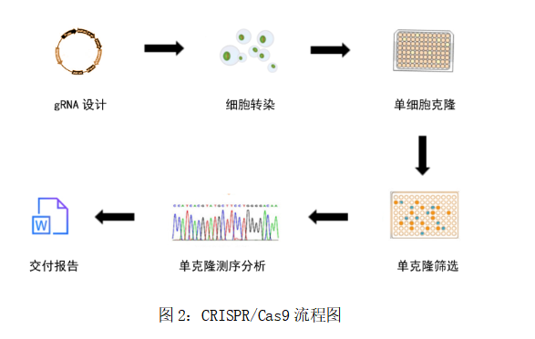 图2.png