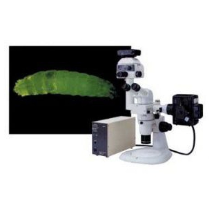 SMZ1000尼康体视显微镜