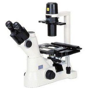 显微镜TS100