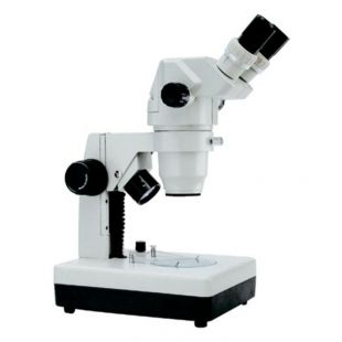 桂光体视显微镜