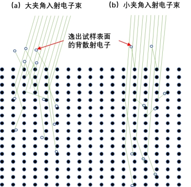 图1  电子通道衬度成像原理粒子模型示意图.jpg