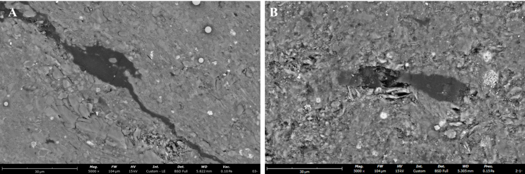  页岩中观察到的沉积有机质 SEM扫描电镜图像