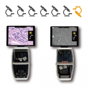 显微镜REBEL 2 IN 1正置/倒置Hybrid显微镜