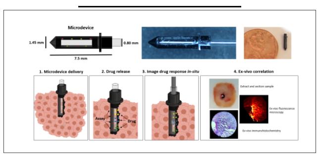 文献速递 | 肿瘤药物反应检测平台以ECHO荧光显微镜为成像