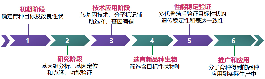 一文get qPCR技术在动物育种中的应用