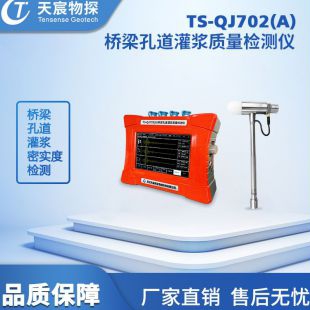 武汉天宸桥梁孔道灌浆质量检测仪TS-QJ702(A)