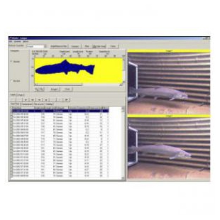VAKI鱼道观测计数分析系统 