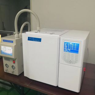 环氧乙烷残留检测气相色谱仪