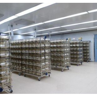 动物实验室建设的标准要求与注意事项 实验室设计-上海三仁