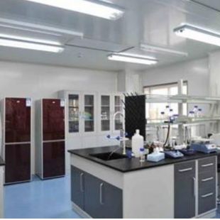 pcr实验室和P2实验室建设标准区别-上海三仁