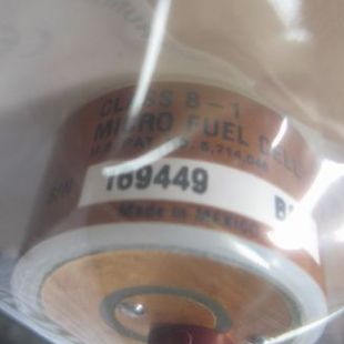 Teledyne氧气传感器Class B-1